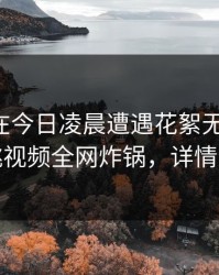 主持人在今日凌晨遭遇花絮无法置信，樱桃视频全网炸锅，详情揭秘