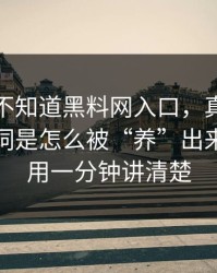 你可能不知道黑料网入口，真正靠的是关键词是怎么被“养”出来的｜我用一分钟讲清楚