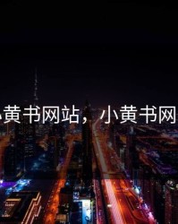 小黄书网站，小黄书网站