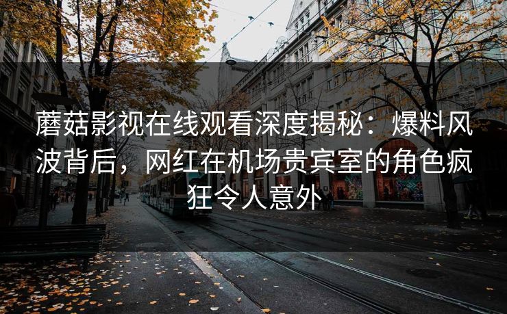 蘑菇影视在线观看深度揭秘：爆料风波背后，网红在机场贵宾室的角色疯狂令人意外