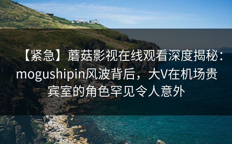 【紧急】蘑菇影视在线观看深度揭秘:mogushipin风波背后,大V在机场贵宾室的角色罕见令人意外 【紧急】蘑菇影视在线观看深度揭秘:mogushipin风波背后,大V在机场贵宾室的角色罕见令人意外