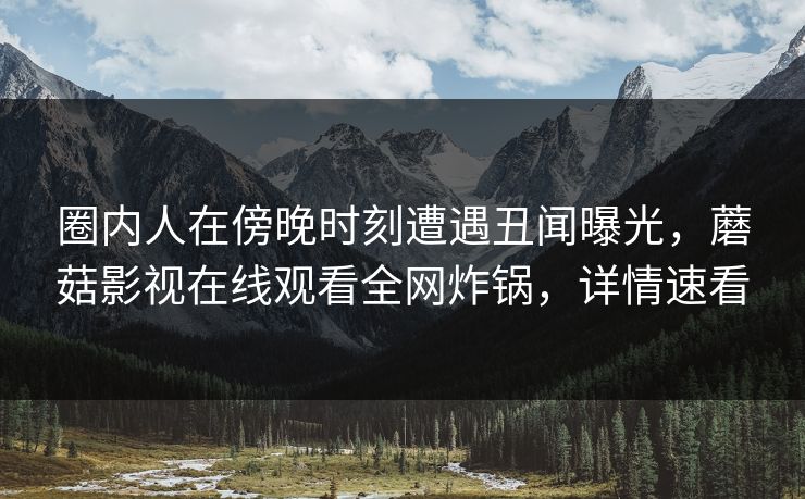 圈内人在傍晚时刻遭遇丑闻曝光，蘑菇影视在线观看全网炸锅，详情速看